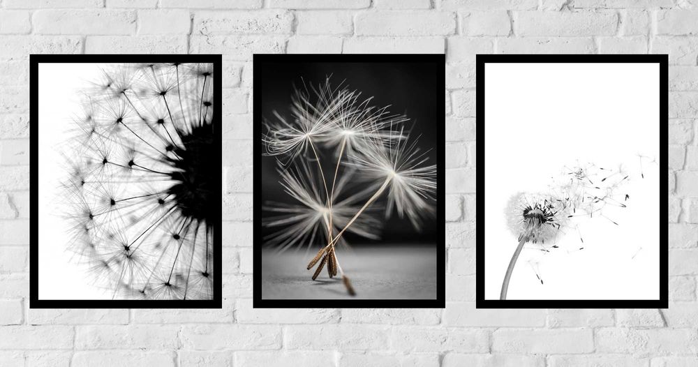 3x 50x40 A2 ZESTAW OBRAZ W RAMIE PLAKATY RAMKA boho mlecz dmuchawce