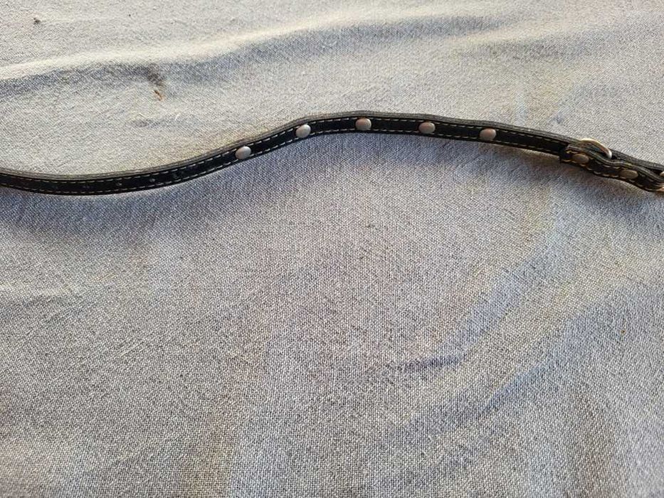 Coleira de Gato Nova