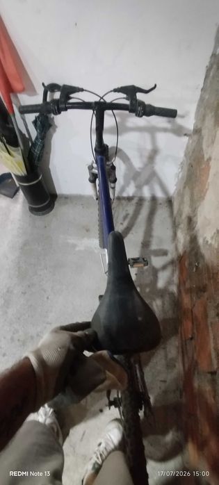 Bicicleta adulto