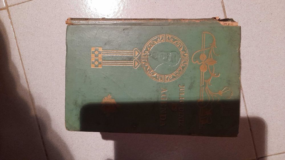 Livro Antigo Julio Diniz Agenda Capa Dura