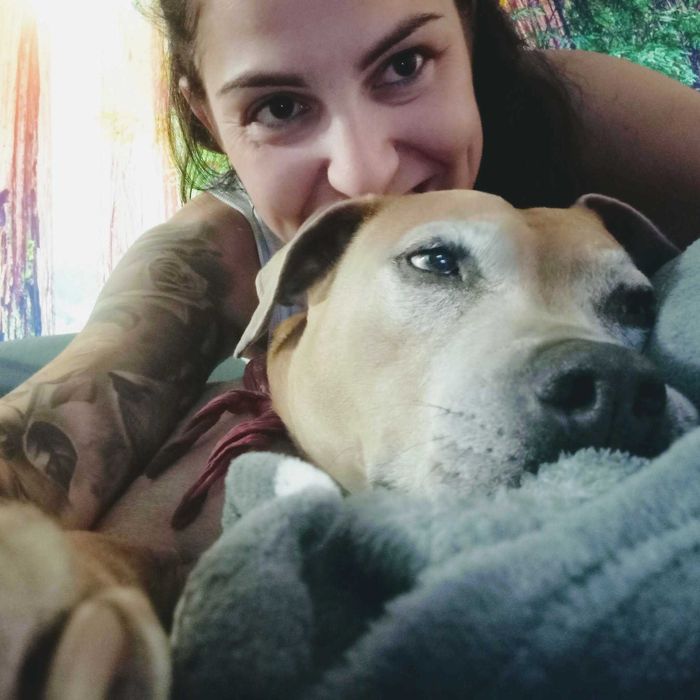 Opieka nad psem, noclegi dla psów