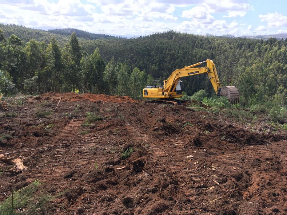 Limpeza de terrenos/ desaterros