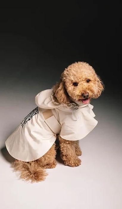 Куртка , плащ , ветровка для собак poezen kalyaka raincoat