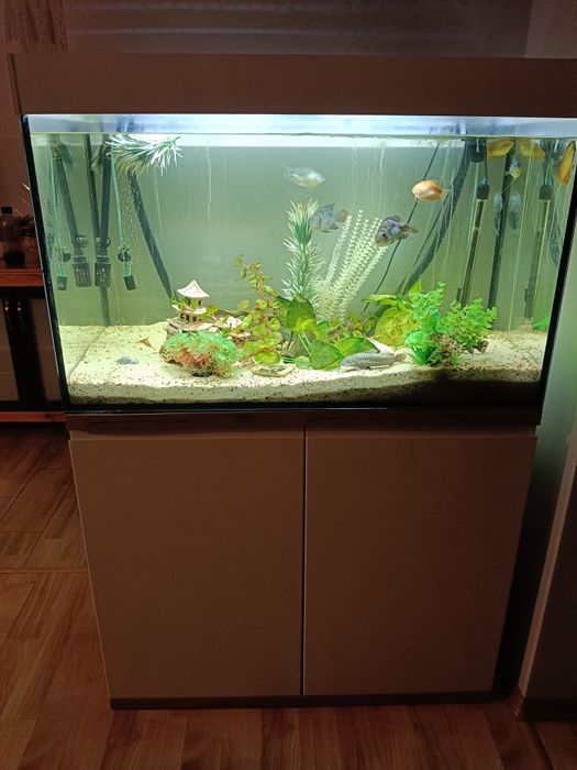 Akwarium 300l z osprzętem