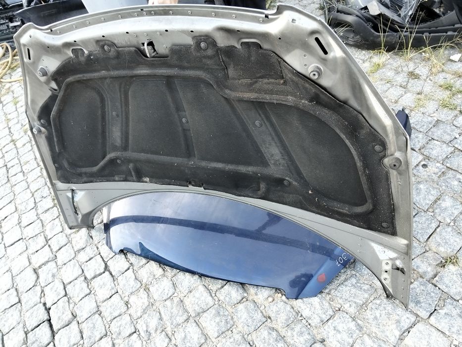 Capô Peugeot 307 capo 2002 fase 1 capot