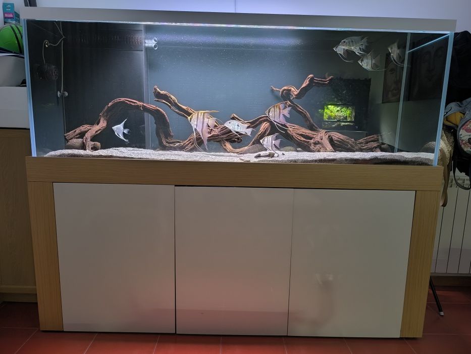 Aquário completo com Móvel