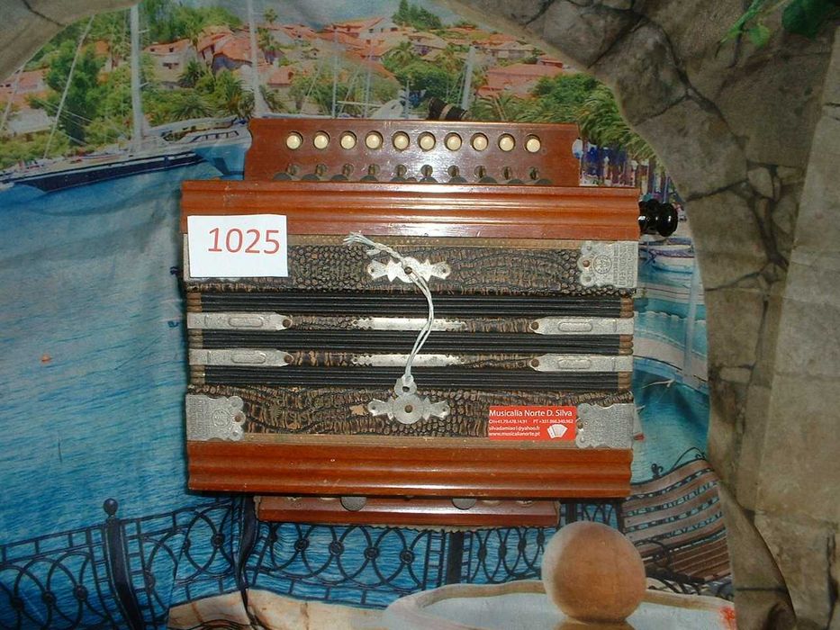 Promoção de Acordeões de concertinas