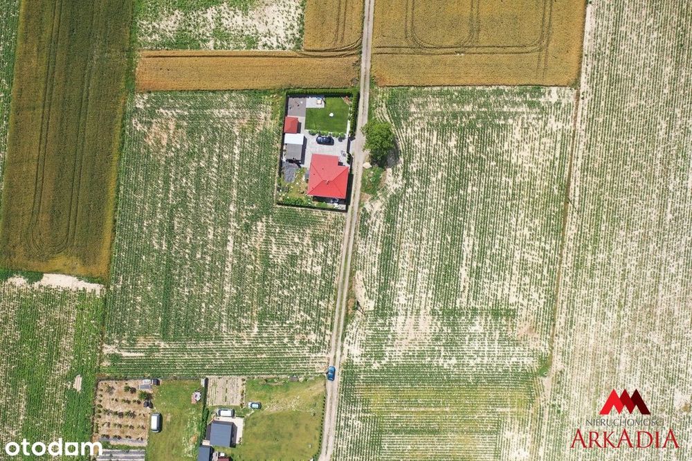 Działka budowlana 739 m² Zarzeczewo, gm. Fabianki - Widok 5