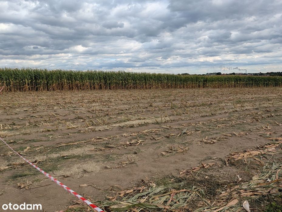 Działka budowlana - Piekary Śląskie ul. Szybowa !! 2 OSTATNIE - Widok 5