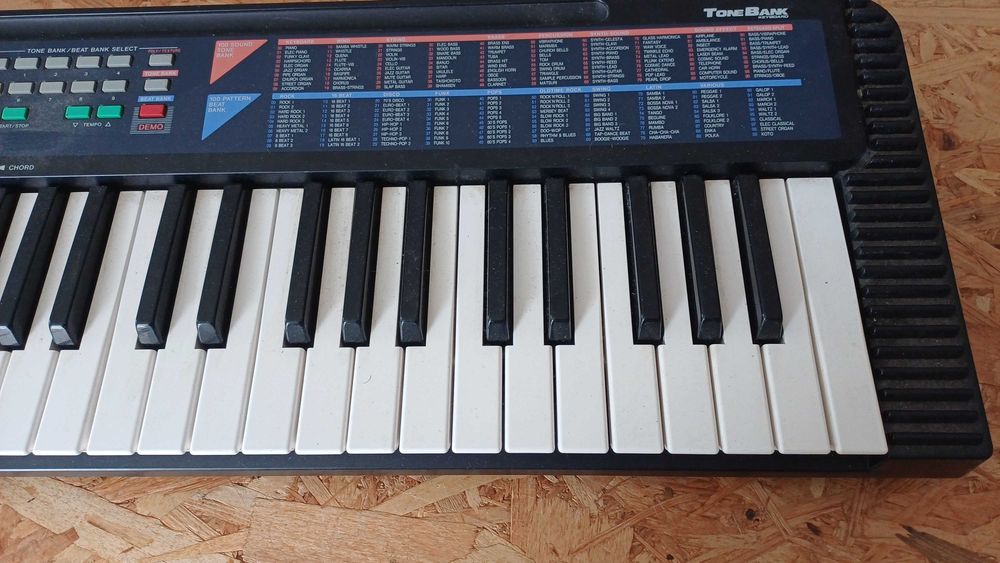 Casio CA- 110 órgão