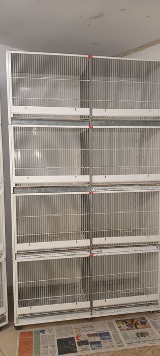 Gaiola Voadeira usada!!!