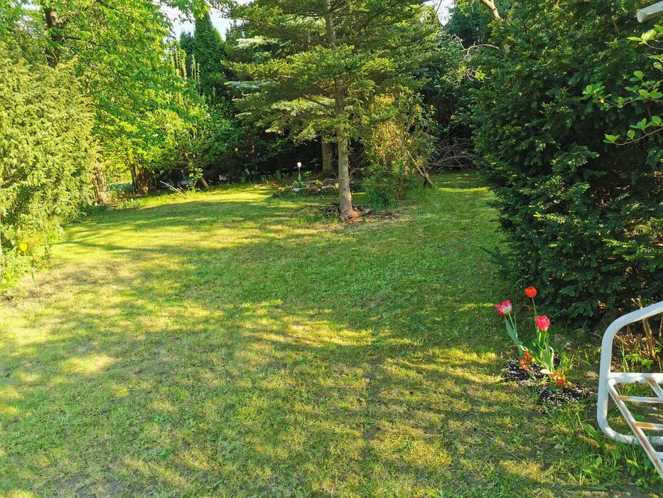 Działka rekreacyjna ROD Relaks Szczaki pod Warszawą 500 m² - Widok 2
