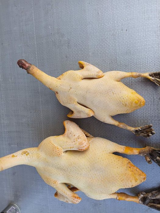 Яйця,  М'ясо (курка,кролик)