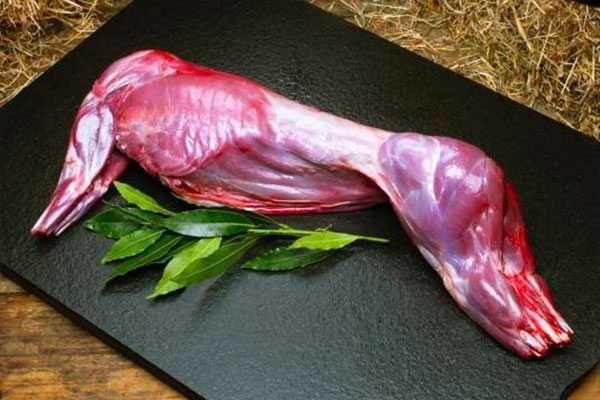 М'ясо кролика домашнє