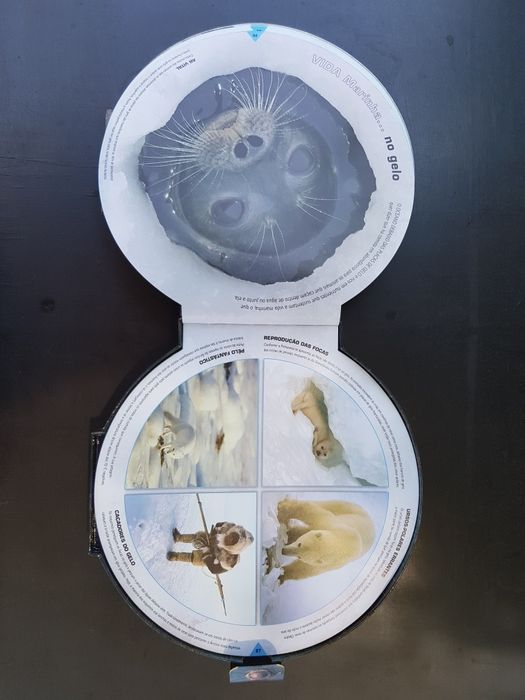 Livro Oceano da DK ( Dorling Kindersley )