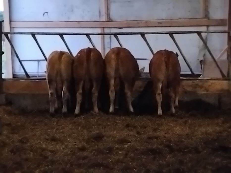 Odsadki LM MM faktura vat