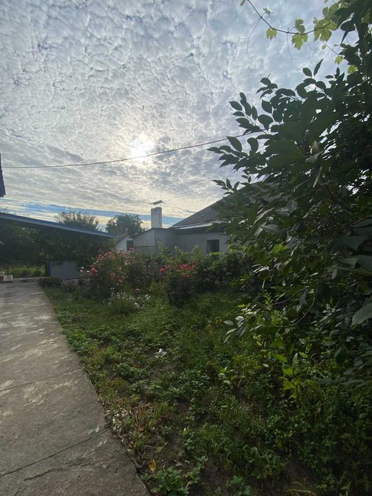 Будинок в Золотоноші Газ, Вода центр 15хв пішки