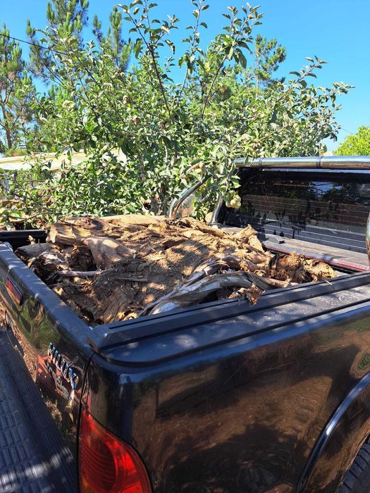 Lenha de Eucalipto Rachada Seca e Pronta a Queimar