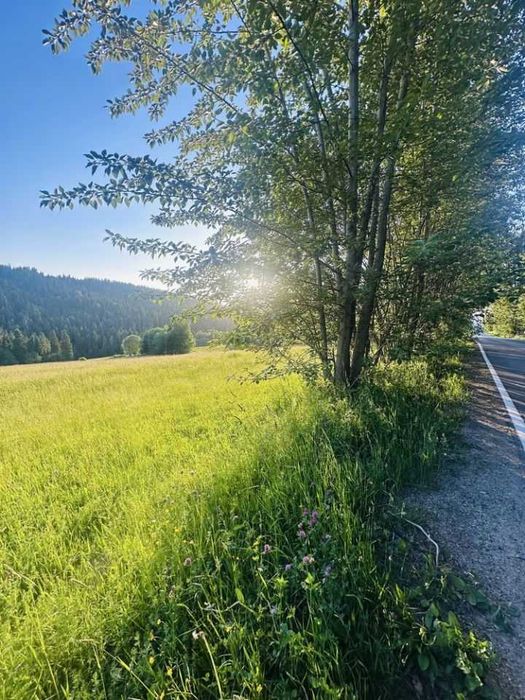 Działka budowlana Czerwienne z widokiem na Tatry