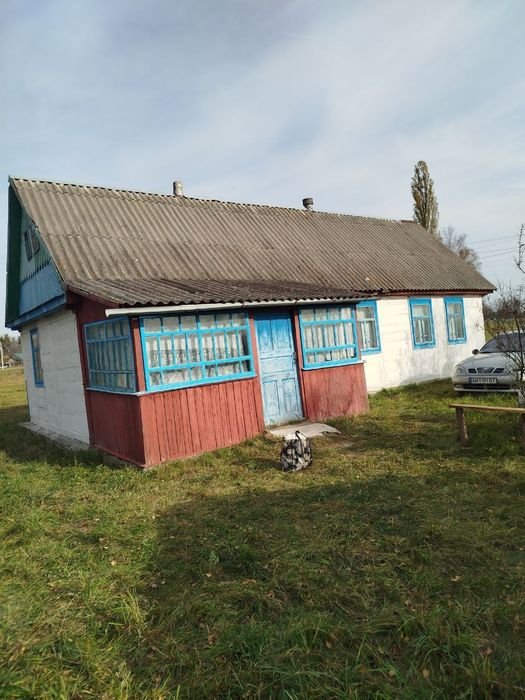 Хата в мальовничому селі