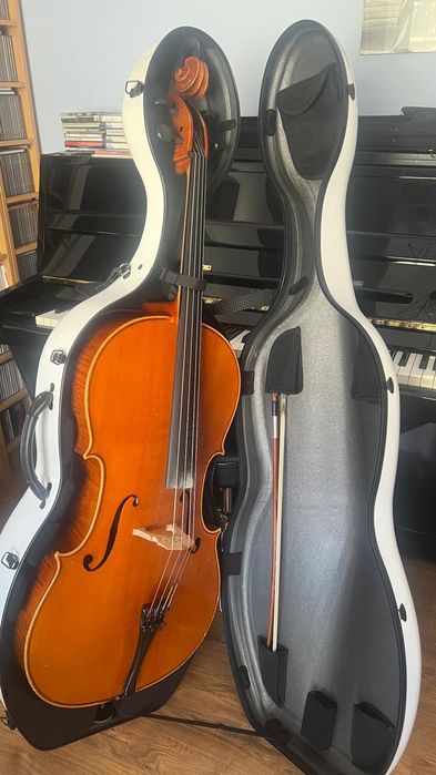 Violoncelo profissional