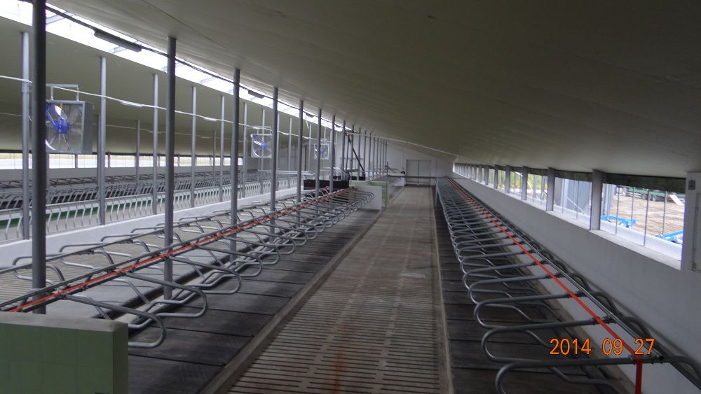 Budowa budynków inwentarskich , obór dla krów, silosów MLEKO-SYSTEM