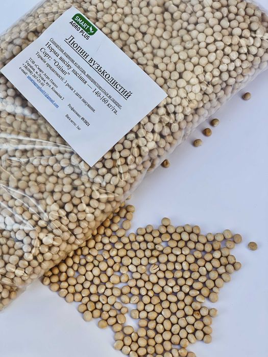 Насіння Люпина вузьколистого