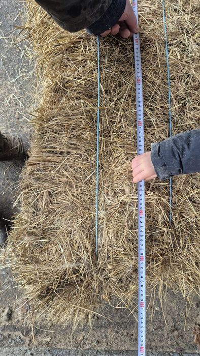 Сіно лугове в тюках. Укіс 2025