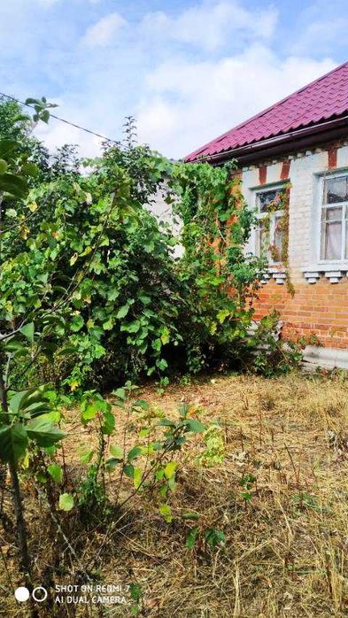 Продам будинок в с. Литвинівка, Вишгородський р-н