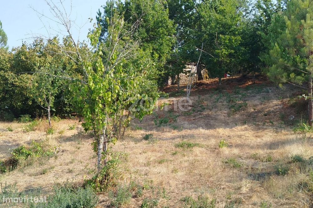 Terreno com 2.500 m2 urbanizaveis Energia, Água, Saneamento e Fibra