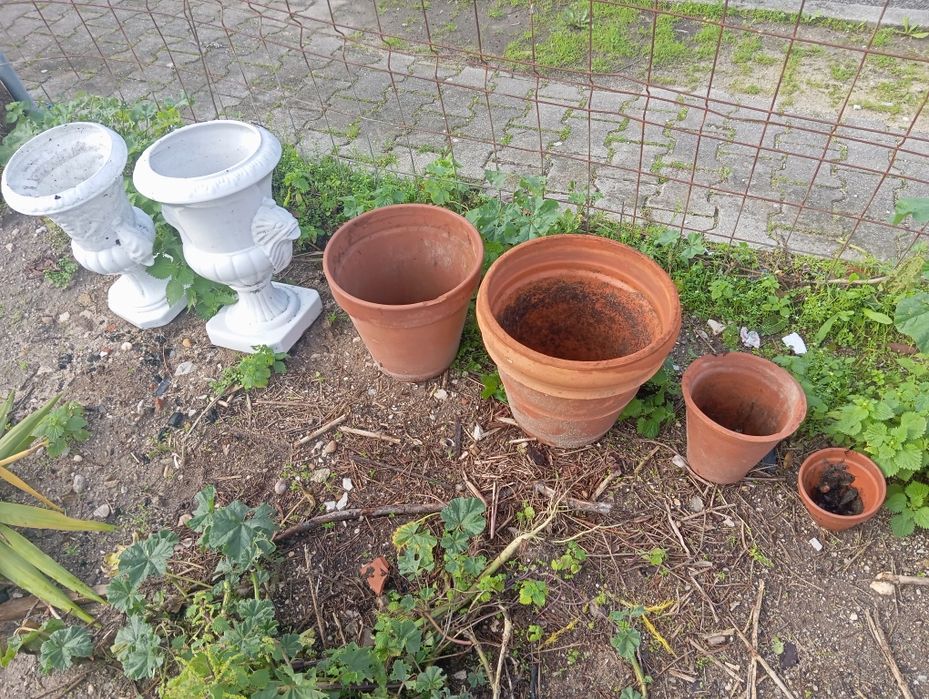 Vasos grandes em barro lote por 15€