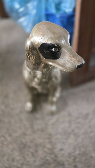 Cão de Loiça dourado