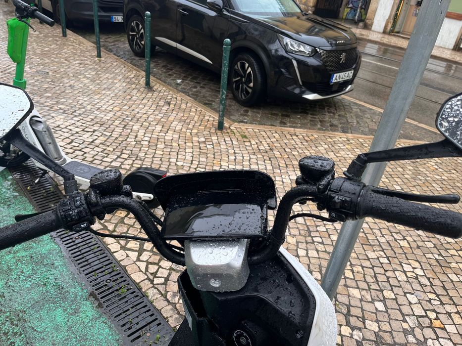 Mota Goose Fox litio