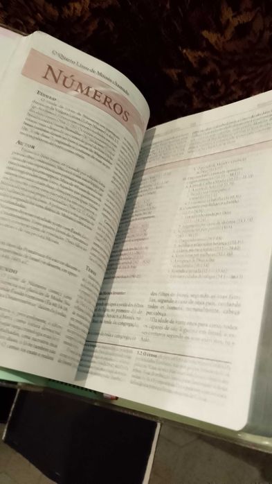 A Bíblia da Mulher - Leitura, Devocional, Estudo
