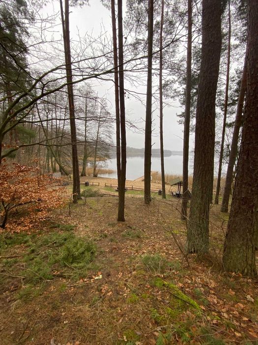 PIękna okolica, blisko jeziora