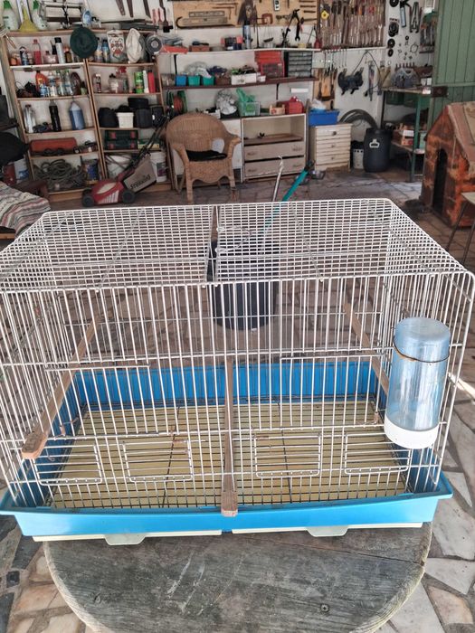 Gaiolas para canários