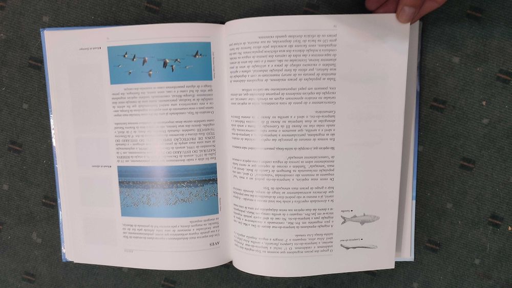 Estuário do Tejo O seu valor e um pouco da sua História