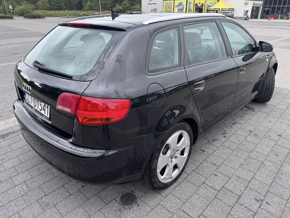 Audi A3 8P 1.9 TDI