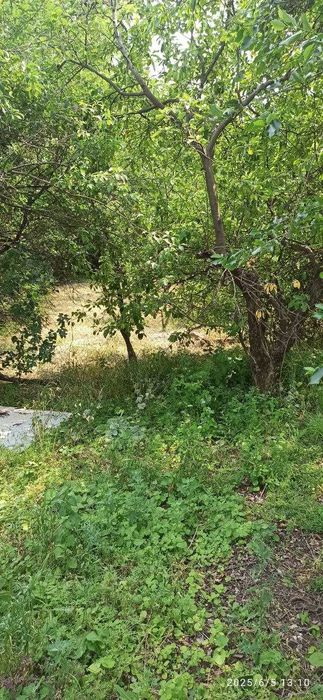 Квартира в селі Михайлівка на березі затоки Дніпро