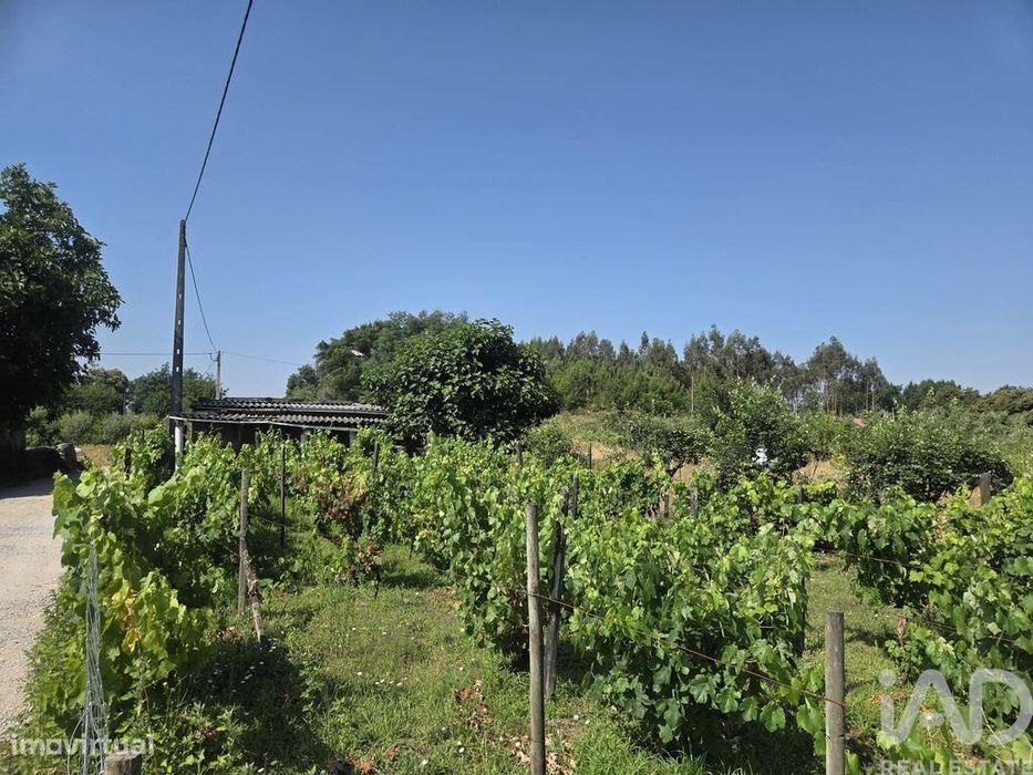 Terreno Agrícola em Santa Comba Dão e Couto do Mosteiro