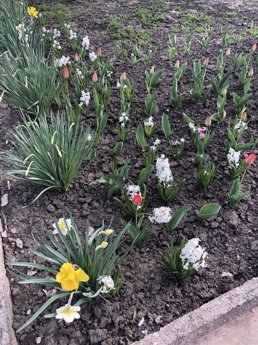 Продам дачу біля води