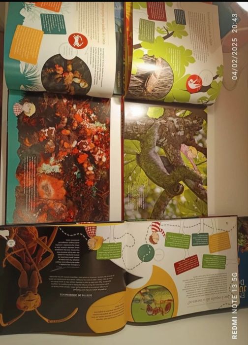 Vendo livros em excelente estado