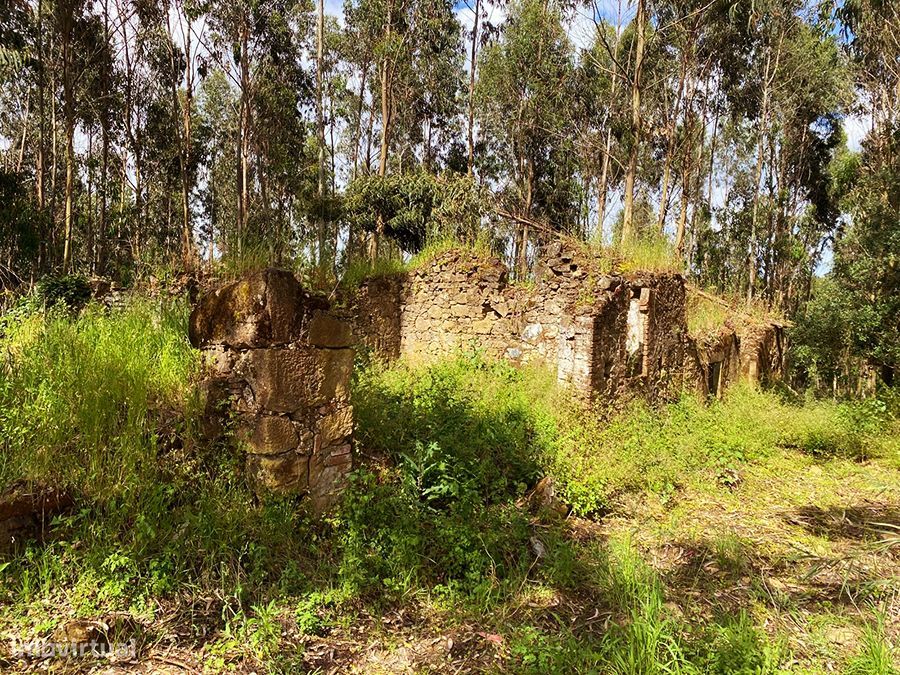 Large plot with ruined house, 5 min from Caldas da Rainha and Óbidos