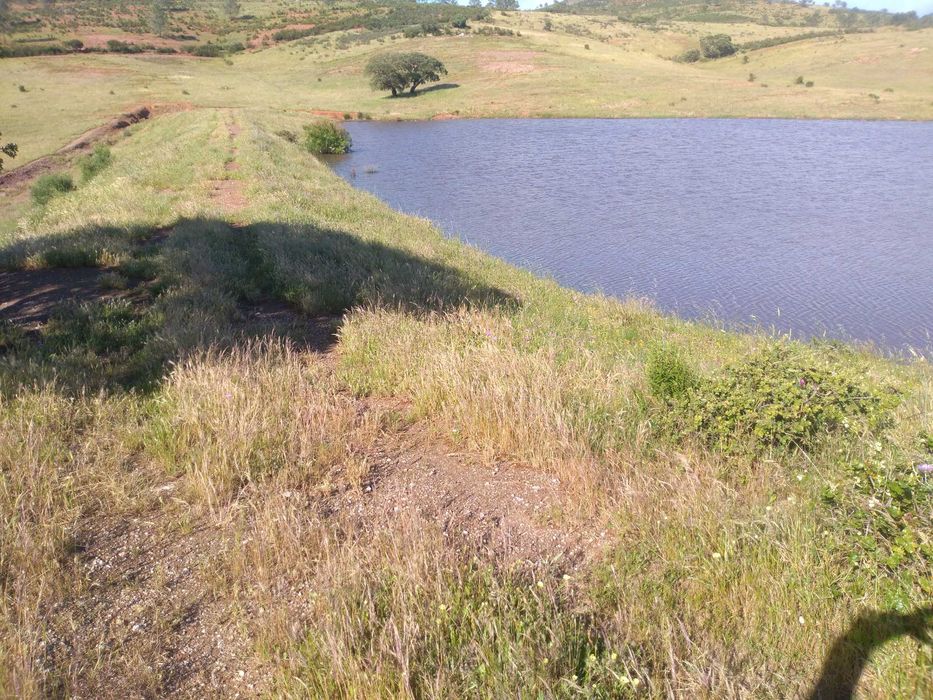 Herdade excelente para venda