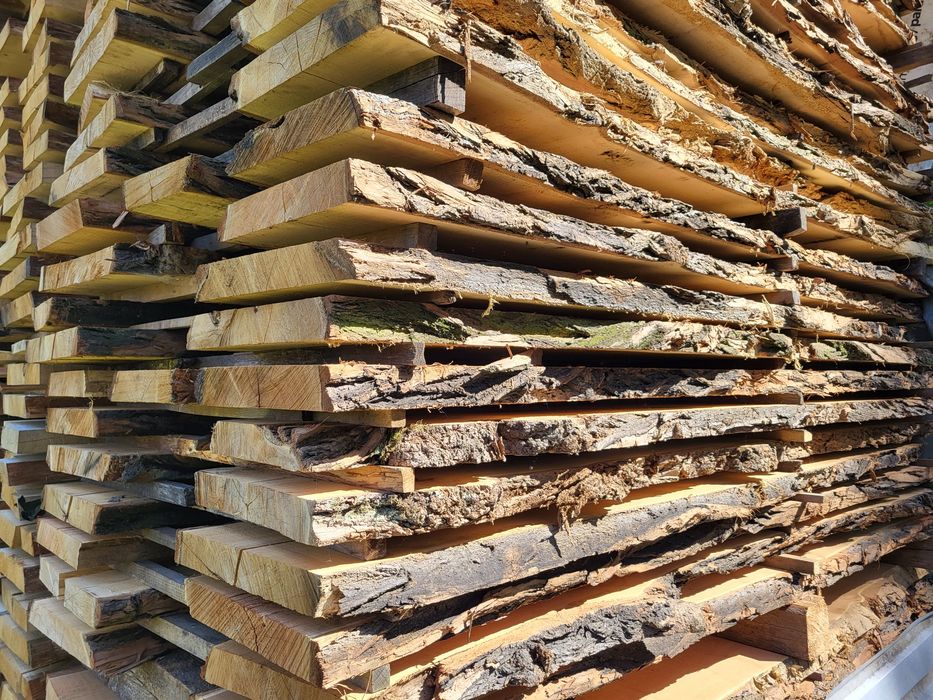 Akacja, robinia akacjowa, deski akacjowe, brusy akacjowe, tarcica