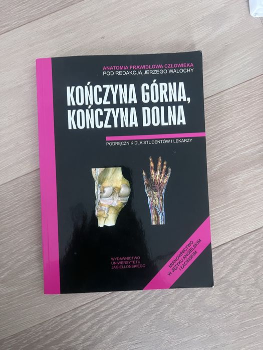 skawina kończyna górna i dolna anatomia