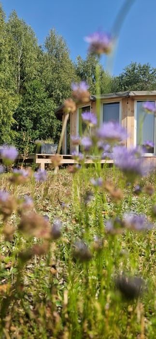 Ostoja Będzyn- Domki na wynajem, agroturystyka, domki nad Pilicą, Spły