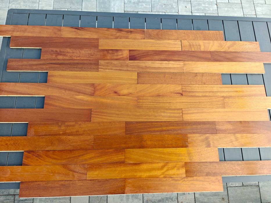 Parkiet Iroko egzotyk Okazja