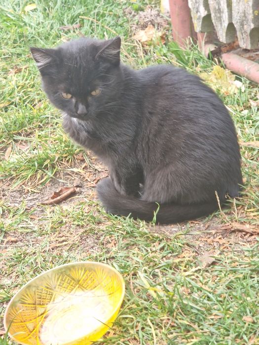 Pilne!!! Dom dla maluszka