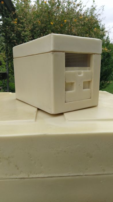 Нуклеус ППУ, Вулик